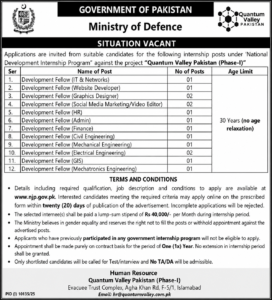 MOD 2026 - Development Fellow Internships Quantum Valley Pakistan