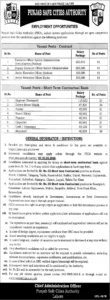 Punjab Safe Cities Authority Jobs 2026 