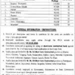 Punjab Safe Cities Authority Jobs 2026